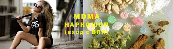 МДПВ Бородино
