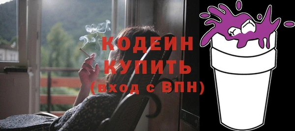 МДПВ Бородино