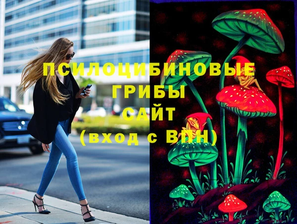 гидропоника Богородск