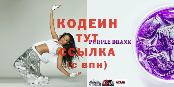 МДПВ Бородино