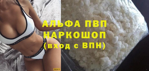 МДПВ Бородино