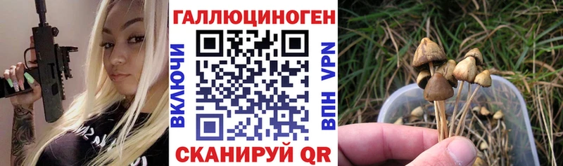 купить наркотик Демидов Псилоцибиновые грибы Magic Shrooms